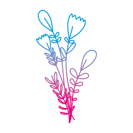 degraded line beautiful flowers with petals and leaves design vector illustrationのイラスト素材
