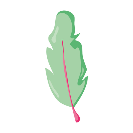 nature tropical leaf of palm tree vector illustrationのイラスト素材