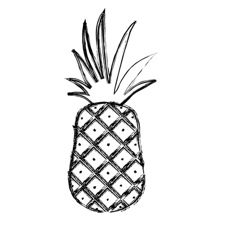 grunge yummy pineapple fruit organic nutrition vector illustrationのイラスト素材