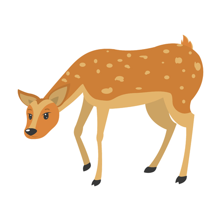 nature female deer wild animalのイラスト素材