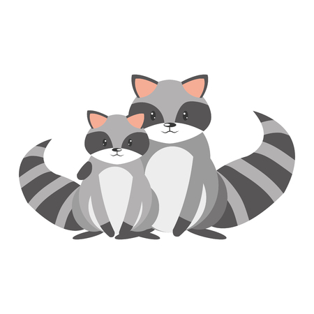 nature raccoon couple wild animalのイラスト素材