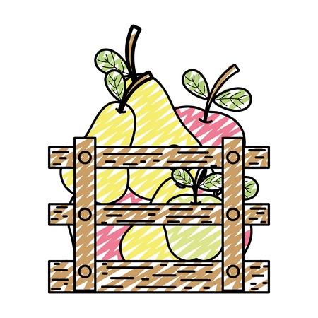 doodle pear and apple delicious fruits inside wood box vector illustrationのイラスト素材