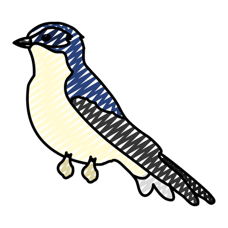 doodle exotic beauty bird animal with wings vector illustrationのイラスト素材