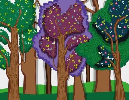 Beautiful forest sceneryのイラスト素材