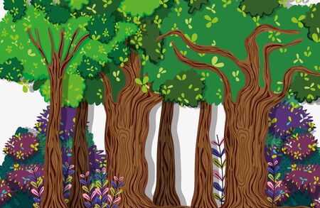 Beautiful forest sceneryのイラスト素材