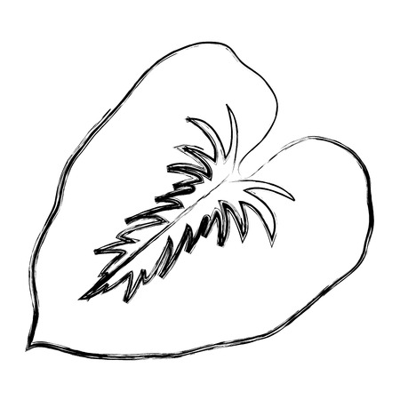 grunge spring nature leaf tree designのイラスト素材