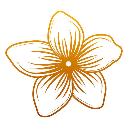 degraded line nature nice flower with beautiful petals vector illustrationのイラスト素材