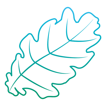 degraded line cute tropical leaf nature design vector illustrationのイラスト素材