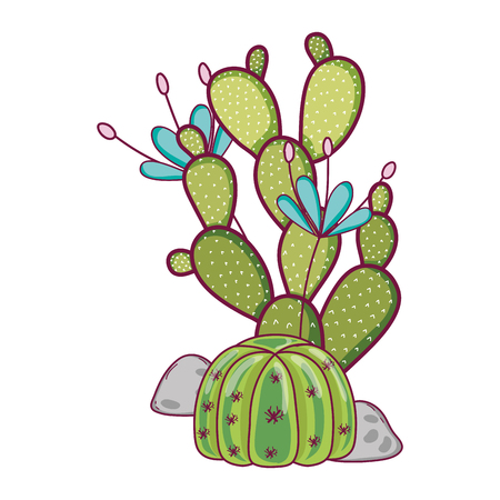 cactus plant with exotic flowers in the stones vector illustrationのイラスト素材