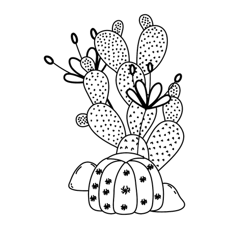 line cactus plant with exotic flowers in the stones vector illustrationのイラスト素材
