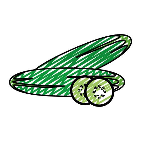 Doodle organic cucumber natural vegetable food vector illustrationのイラスト素材