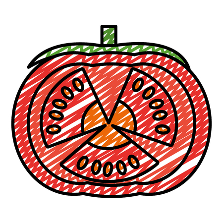 Doodle natural slice tomato organic vegetable vector illustrationのイラスト素材
