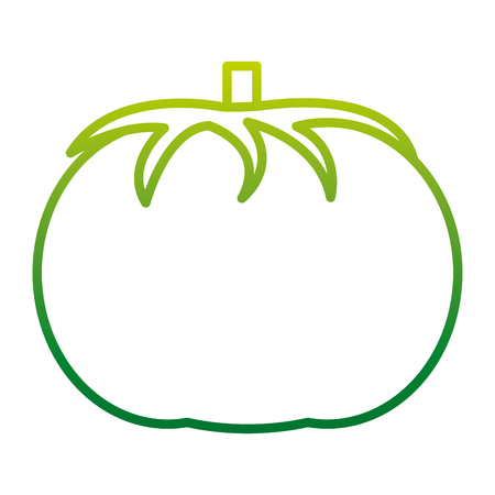 Degraded line organic tomato vegetable natural food vector illustrationのイラスト素材