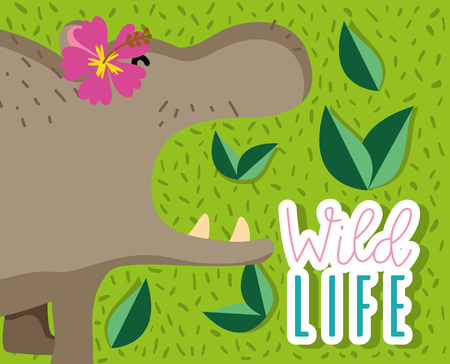 Cute wildlife animals cartoonのイラスト素材