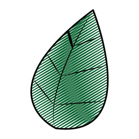 doodle nature and exotic leaf of botany plantのイラスト素材