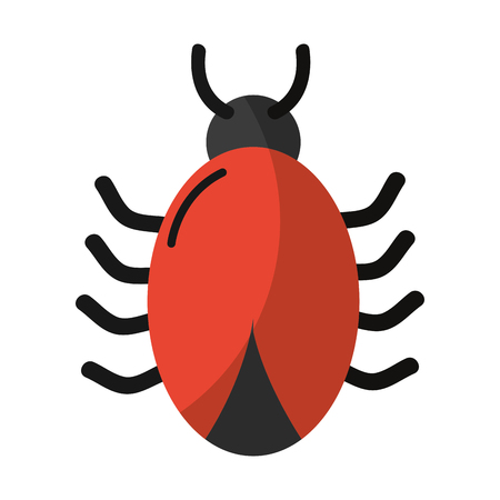 spider darger insect web symbolのイラスト素材