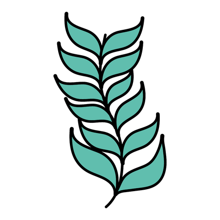 color exotic branch leaves natural plant vector illustrationのイラスト素材