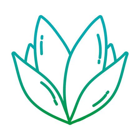 degraded line natural plant tropical leaves style vector illustrationのイラスト素材