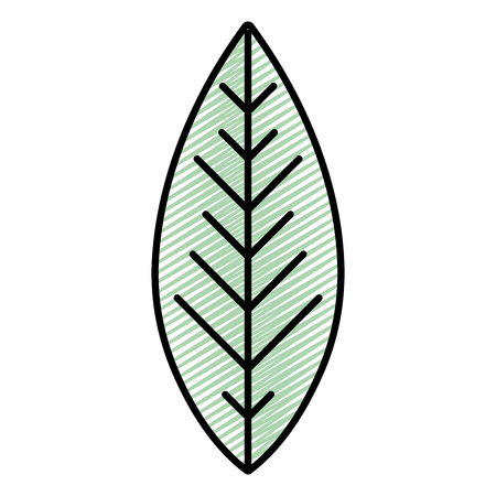 doodle cute exotic leaf tropical style vector illustrationのイラスト素材