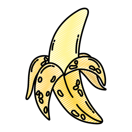 doodle delicious banana fruit organic nutrition vector illustrationのイラスト素材