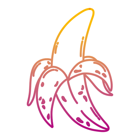 degraded line delicious banana fruit organic nutrition vector illustrationのイラスト素材