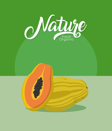 Papayas in half cut fruit vector illustration graphic designのイラスト素材