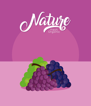 Grapes in half cut fruit vector illustration graphic designのイラスト素材