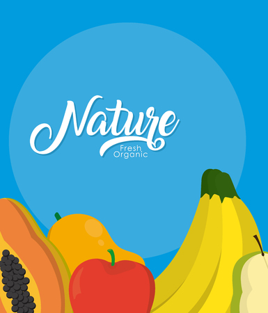 Delicious nature fruits over colorful background vector illustration graphic designのイラスト素材
