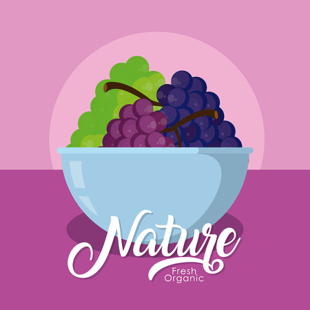 Grapes fruits in bowl vector illustration graphic designのイラスト素材