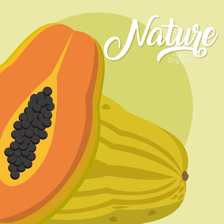 Papayas in half cut fruit vector illustration graphic designのイラスト素材