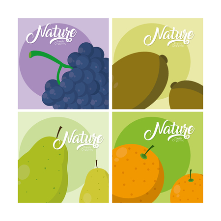 Nature fruits in square frames vector illustration graphic designのイラスト素材