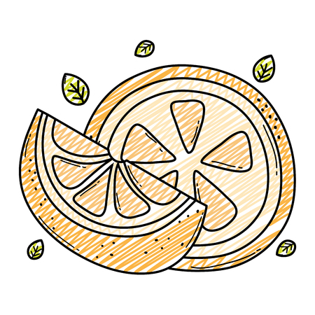 doodle delicious slices orange organic fruit vector illustrationのイラスト素材