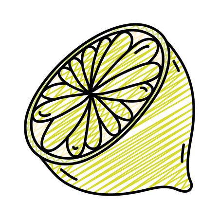 doodle delicious slice lemon organic fruit vector illustrationのイラスト素材
