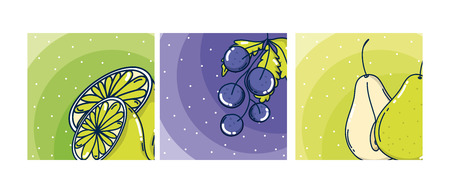 Set of fruit cards cartoons vector illustration graphic designのイラスト素材