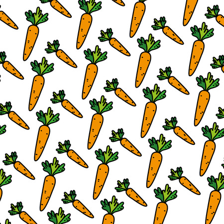 color healthy carrot organic vegetable backgroundの写真素材