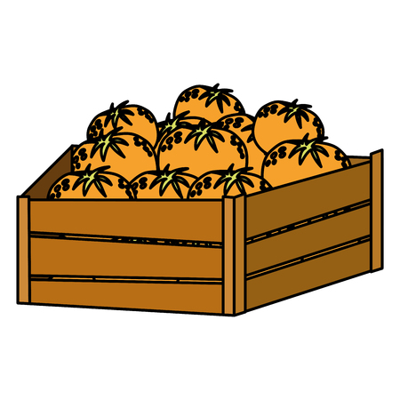 color delicious oranges fruits inside wood box vector illustrationのイラスト素材