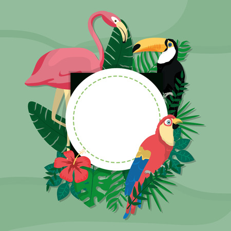Exotic birds cartoons card vector illustration graphic designのイラスト素材
