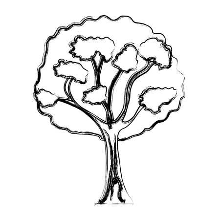 grunge beauty tree stalk with branches leavesの写真素材