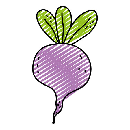 doodle fresh onion healthy organic vegetable vector illustrationのイラスト素材