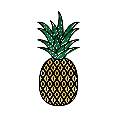 doodle delicious pineapple organic fruit nutritionの写真素材