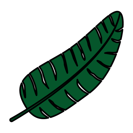 color plant tropical branch leaves style vector illustrationのイラスト素材