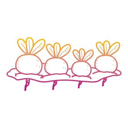 degraded line nature onions cultivated plantation productのイラスト素材