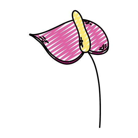 doodle nice exotic flower with petal style vector illustrationのイラスト素材