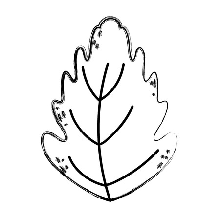 grunge botany cute leaf exotic style vector illustrationのイラスト素材