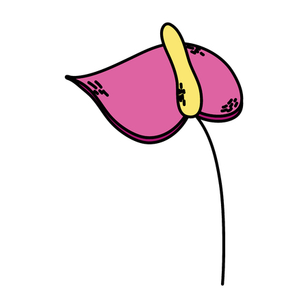 color nice exotic flower with petal style vector illustrationのイラスト素材