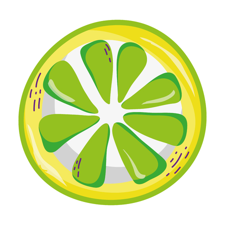 exotic slice lemon tropical fruit vector illustrationのイラスト素材