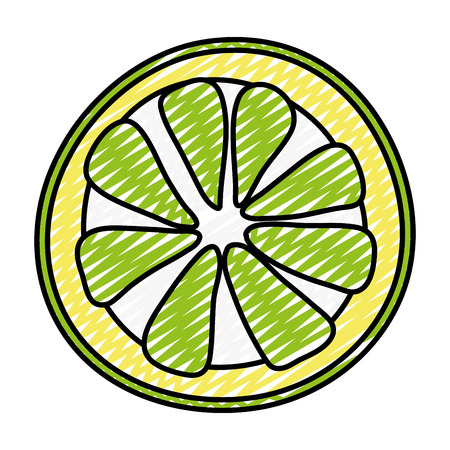 doodle exotic slice lemon tropical fruit vector illustrationのイラスト素材