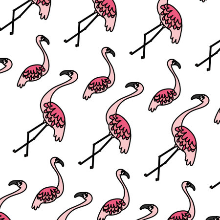 color exotic flemish bird animal background vector illustrationのイラスト素材