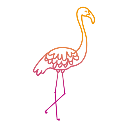 degraded line exotic flemish bird tropical animal vector illustrationのイラスト素材