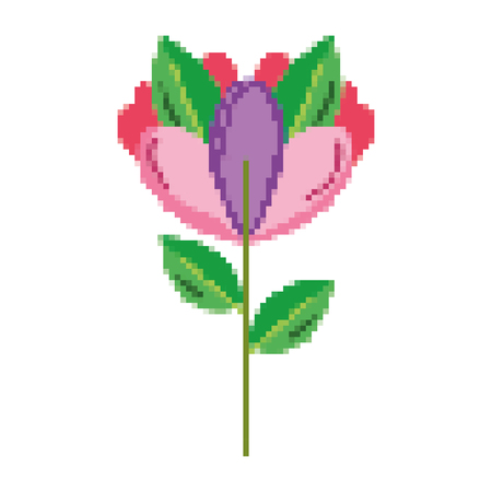 pixelated beauty exotic flower plant leaves vector illustrationのイラスト素材